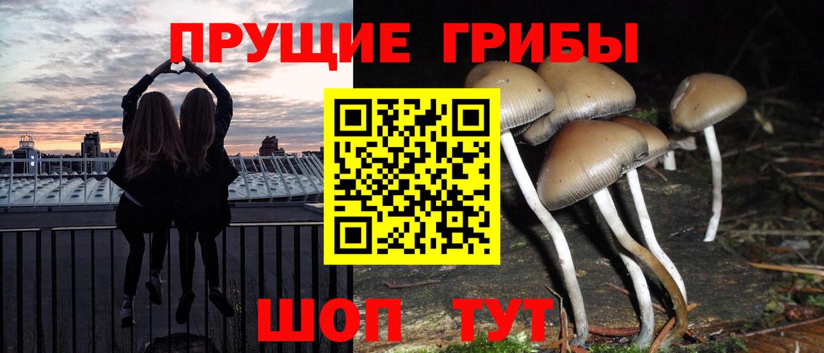 Гагарин  Псилоцибиновые грибы мицелий  Вход с VPN  Псилоцибиновые грибы Psilocybe 